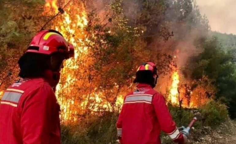 EMRAT/ Zjarri katastrofik në Delvinë, arrestohen 3 personat që ndezën flakët