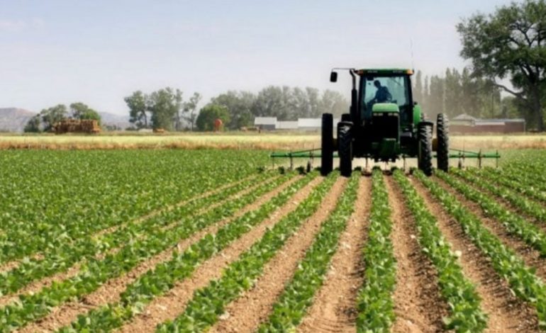 CENSI PËR BUJQËSINË/ 890 mln lekë për realizimin, gjobë kush nuk jep informacione për numrin e bagëtive