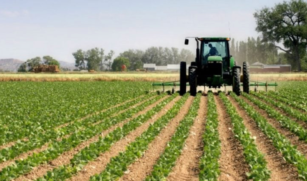 CENSI PËR BUJQËSINË/ 890 mln lekë për realizimin, gjobë kush nuk jep informacione për numrin e bagëtive