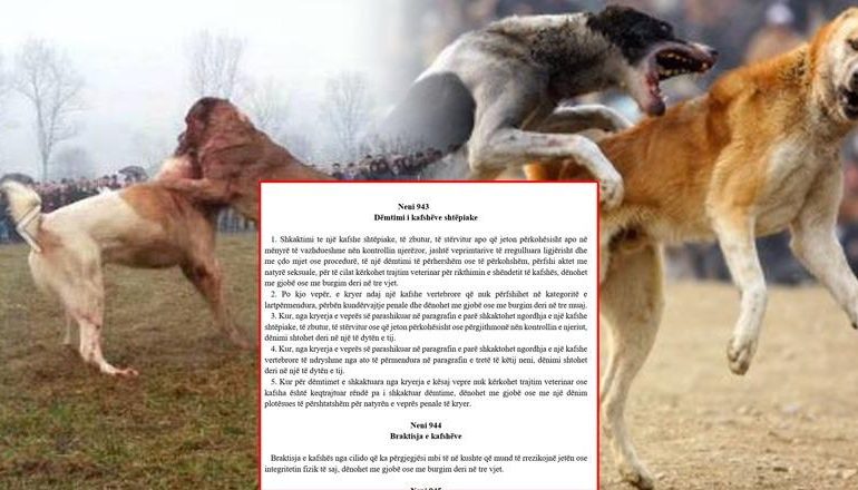 DRAFT I KODIT TË RI PENAL/ Braktisja e kafshëve vepër penale, dënohet deri në 3 vite burg! 3 vite edhe për keqtrajtimin, ndëshkim për organizatorët e ndeshjeve