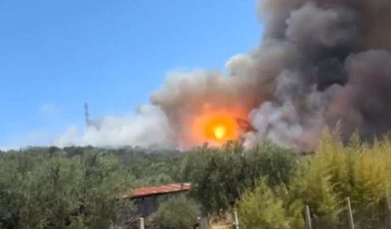 DOGJËN MIJËRA HEKTARË SIPËRFAQE/ Arrestohen 3 persona për zjarrëvënie me qëllim në Dibër