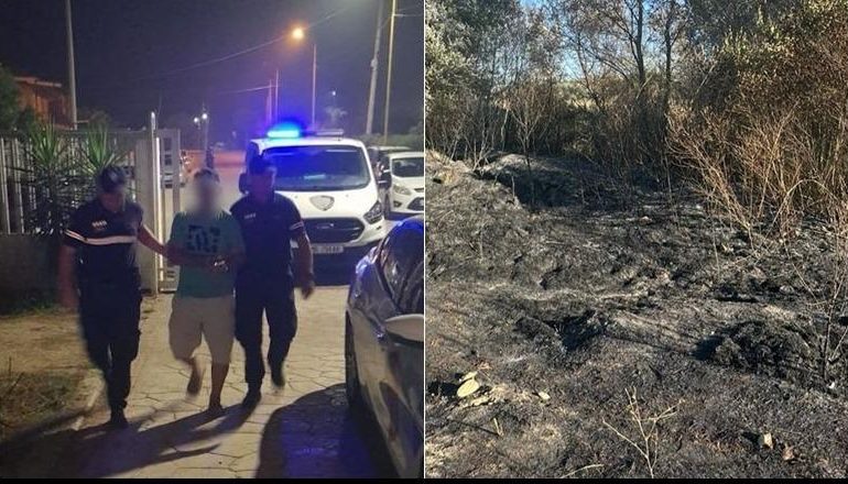 DOGJI 170 RRËNJË ULLIRI/ Arrestohet 65-vjeçari në Divjakë! Në pranga edhe një tjetër nga Mallakastra (EMRAT)