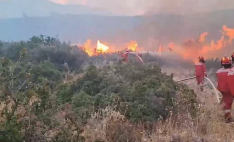 FLAKËT NË MALIN E SKAFICËS/ Ndërhyn edhe shërbimi zjarrfikës i Gjirokastrës