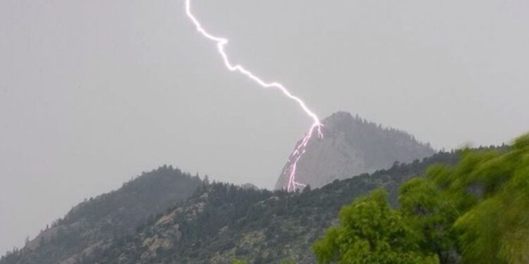 TRAGJIKE/ Goditet nga rrufeja në Pogradec, humb jetën 47-vjeçari, ngordhin edhe 20 bagëti