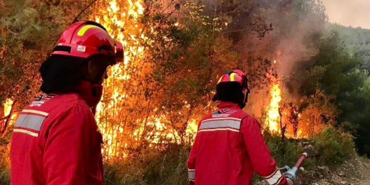 16 VATRA ZJARRI GJATË 24 ORËVE/ Ministria e Mbrojtjes: Vetëm 1 vatër aktive, një tjetër në monitorim