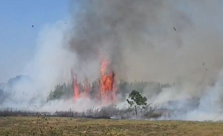DY VATRA ZJARRI NË FIER/ Flakët përfshijnë sipërfaqe të mëdha me toka bujqësore