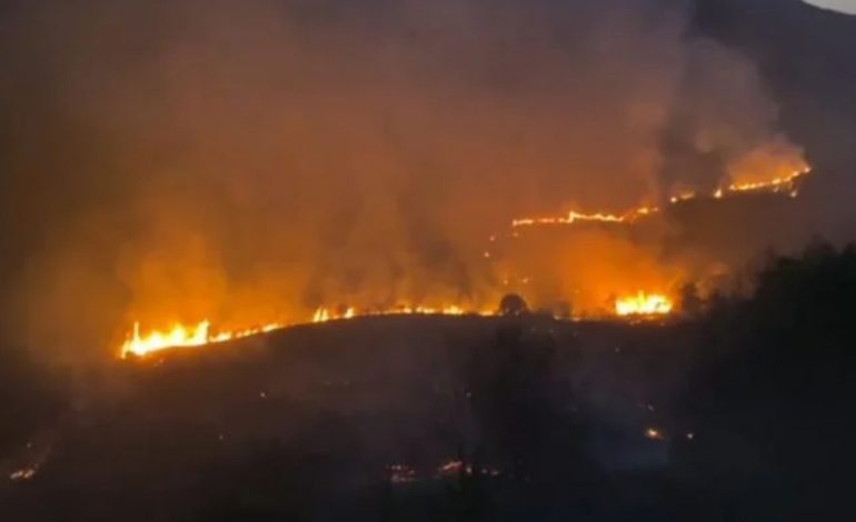 ZJARR NË PYLLIN PRANË UZINËS SË POLIÇANIT/ Pranë ndodhen magazinat me lëndë plasëse, rrezikohet fshati