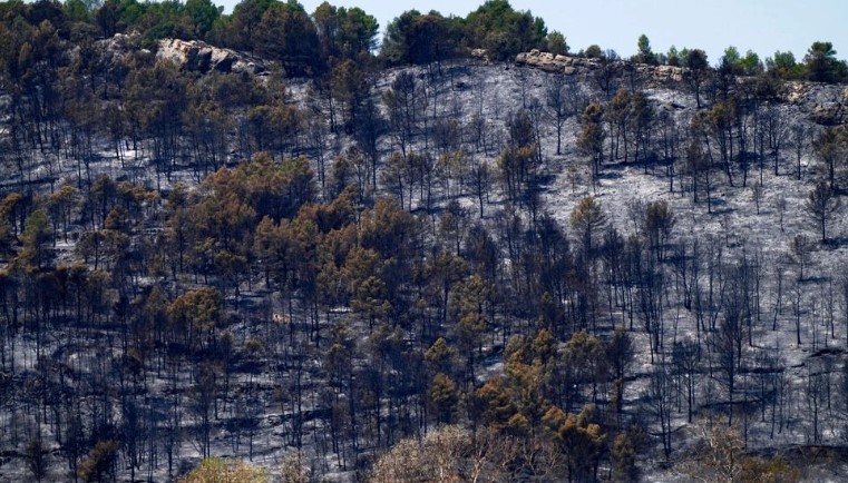 ZJARRE MASIVE NË FRANCËN JUGORE/ Një viktimë dhe 13 të lënduar! Digjen qindra hektarë pyje, zjarrfikësit betejë me flakët