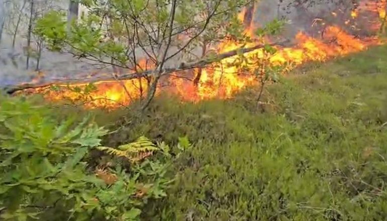 BIE ZJARR NË FSHATIN MALAJ TË RRËSHENIT/ Ndërhyrja nga toka e vështirë për shkak të terrenit malor