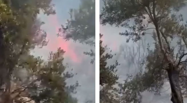 NDIZEN DY VATRA ZJARRI NË LUKOVË/ Flakët pranë zonës së banuar