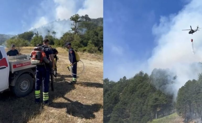 SITUATË EMERGJENTE NË PYJET E GRAMSHIT/ Terreni i thepisur vështirëson vënien nën kontroll të flakëve
