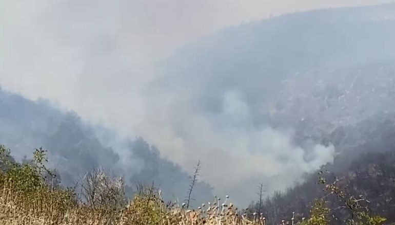 ZJARRET/ Flakët rrezikojnë shtëpitë në fshatin Pecë të Finiqit