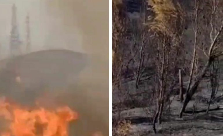 DËME TË MËDHA NGA ZJARRI NË BERAT/ 3 vatra mbeten ende aktive në këtë qark