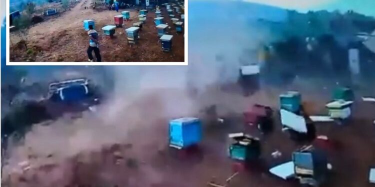 PAMJET E FRIKSHME/ Pak para zjarrit të madh, në Delvinë u shfaq një tornado, fenomeni natyror shkatërron kosheret e bletëve