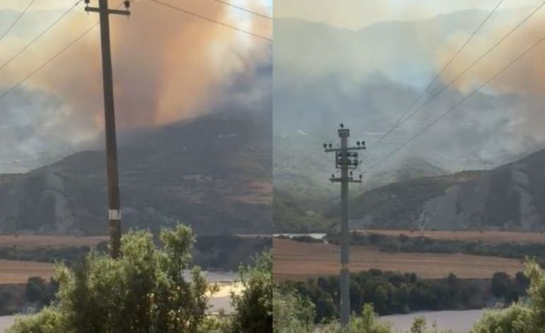 RËNDOHET SITUATA NË LAPARDHA TË SELENICËS/ Zjarri merr përmasa të mëdha, kërkohet ndërhyrje nga ajri