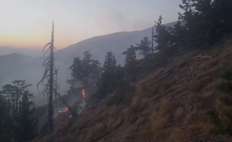 VATRA TË REJA ZJARRI NË KOLONJË/ Rrezikohet Parku Natyror i Gërmenjit