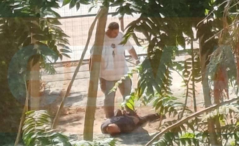 I SHTRIRË ME PRANGA NË DUAR/ Publikohen pamjet nga arrestimi i Pandeli Nakolecit