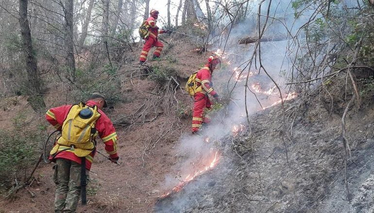 SITUATA NGA ZJARRET/ Mbrojtja: 11 vatra u evidentuan gjatë orëve të fundit, 2 mbeten aktive! 1 nën monitorim