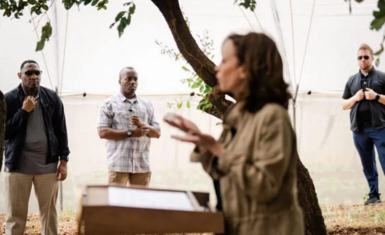 ANALIZA NGA BBC: Pse Trump hoqi mbrojtjen nga Shërbimi Sekret për Kamala Harris?