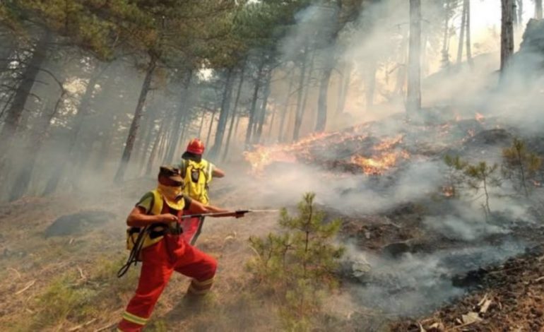 BILANCI I DËMEVE NGA ZJARRI NË GRAMSH/ 68 banesa të djegura, 10 prej tyre totalisht, 215 bagëti të ngordhura