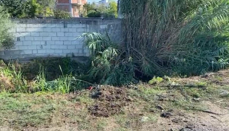 TRAGJIKE/ Automjeti del nga rruga në Lushnje, një i vdekur dhe tre të plagosur! Arrestohet shoferi
