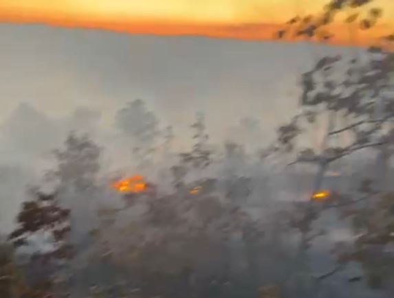 PAMJET/ Zjarr në masivet pyjore të Bulçarit të Gramshit, ndërhyjnë helikopterët për të frenuar flakët