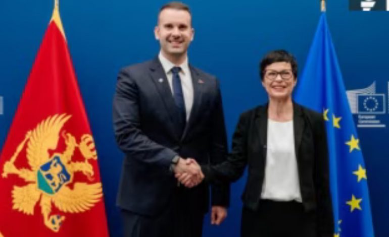 Pse luhatet besimi në BE në Mal të Zi?