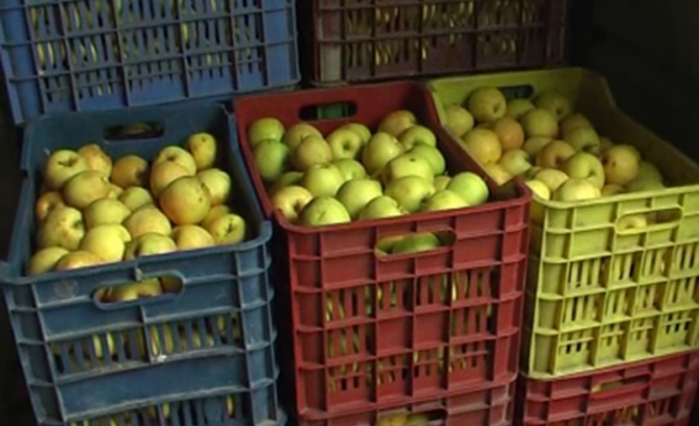 MOTI I KEQ ULI PRODHIMIN/ Mollët e Korçës me pakicë dhe më të shtrenjta këtë vit
