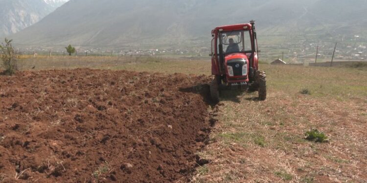 11 MILIONË EURO PËR FERMERËT SHQIPTARË/ 23 mijë përfitues nga Skema e Bujqësisë. Interes të lartë skema e naftës, blegtorisë dhe bletarisë