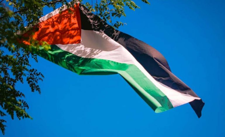 E PAPRITUR! Parlamenti Europian miraton rezolutën historike: Vendet e BE-së të njohin Palestinën