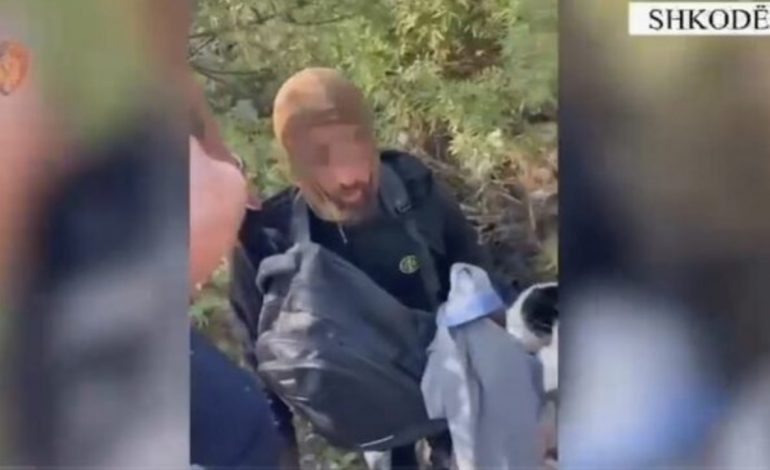 PUBLIKOHEN TË TJERA PAMJE/ Momenti kur Ragip Gila prangoset teksa fshihej pas shkurreve