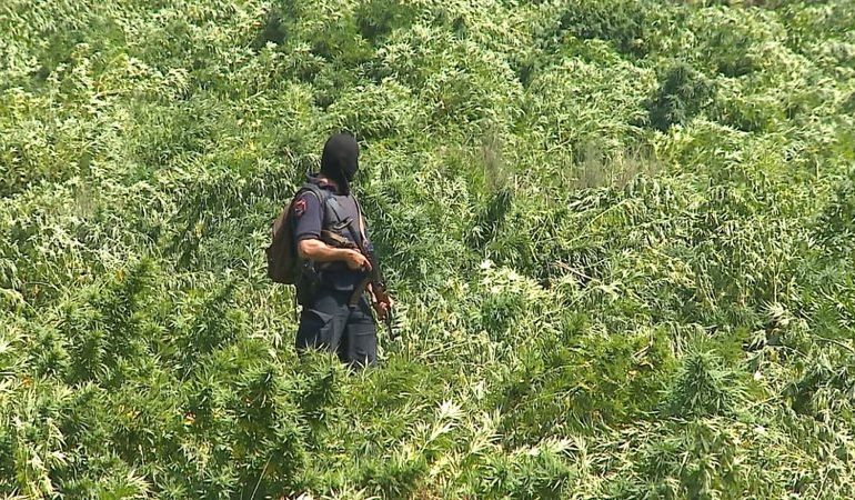 MBYLLET DOSJA PËR BANDËN E HASHASHIT/ Apeli i GJKKO merr vendim për 32 të akuzuarit, ulet dënimi për 10 prej tyre