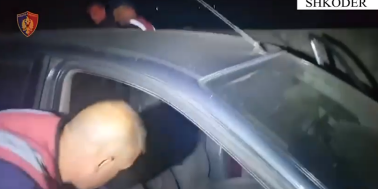 EMRAT/ Kapen në flagrancë dhe arrestohen dy 21-vjeçarë me kanabis në Shkodër