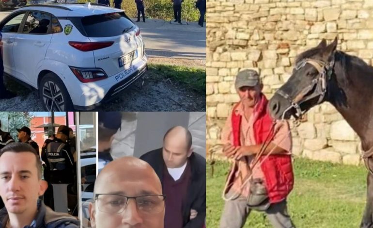 TRONDITET SHQIPËRIA/ Tre vrasje në një ditë, djali vret babain e deri tek sherri për një kalë (NJARJET)