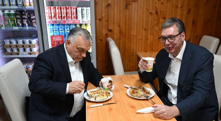 Diplomaci me byrek e kos