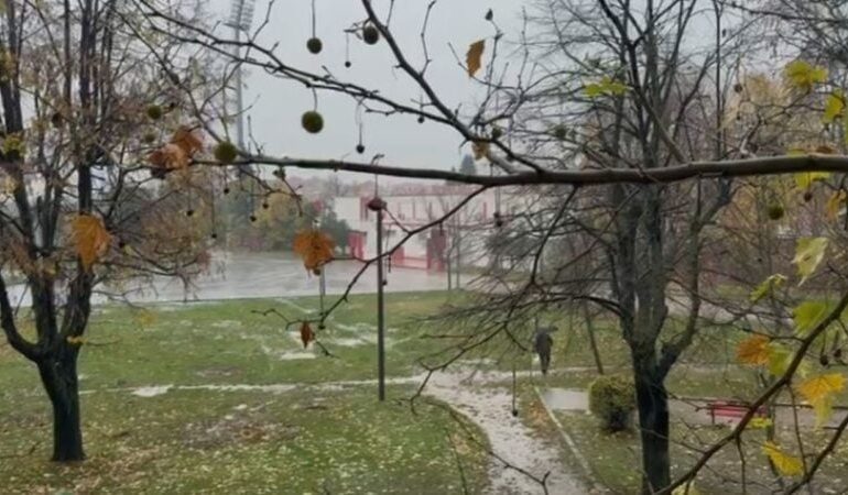 RESHJE SHIU DHE RËNIE GURËSH/ Si paraqitet situata e motit të keq në qarkun e Korçës
