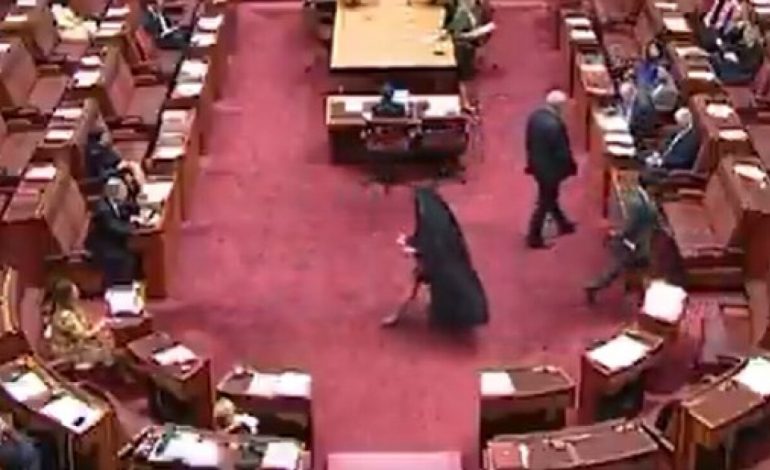 “STOP MBULESËS MYSLIMANE NË PUBLIK”/ Senatorja e ekstremit të djathtë shfaqet në parlament e veshur me burka, debate të ashpra