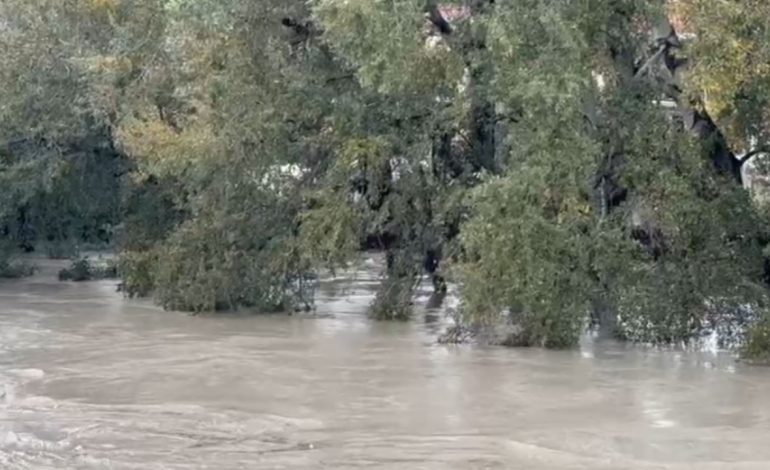 LUMI SENA NË PIKË KRITIKE/ Përmbyten toka dhe zonën naftëmbajtëse në Belinë