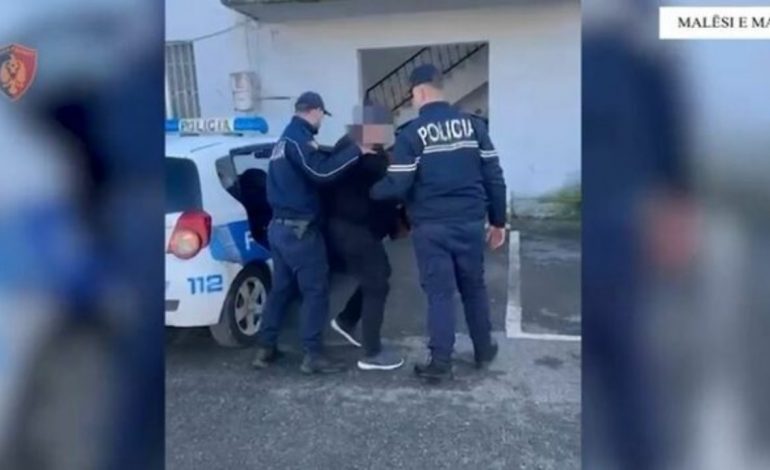 EMRI/ Mbolli mbi 700 bimë kanabis, arrestohet 57-vjeçari në Malësinë e Madhe