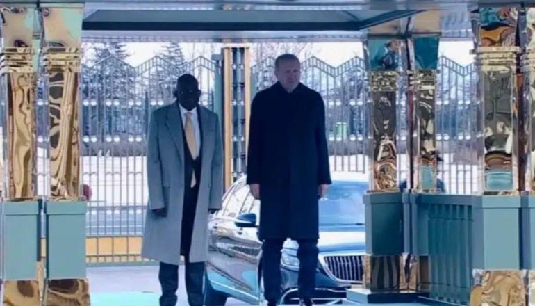 INCIDENT NË ANKARA/ Presidenti i Nigerisë humb ekuilibrin gjatë takimit me Erdogan