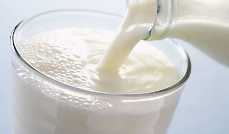 KRIZA E BLEKTORISË SHQIPTARE/ Numri i krerëve përgjysmohet në një dekadë. Fabrikat e qumështit furnizohen nga importi