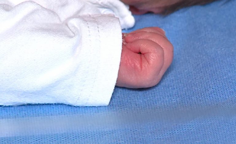 LAJM I ËMBËL PËR 2026/ Vijnë në jetë bebet e para