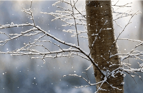 MOTI PËR SOT/ Dita parashikohet me reshje shiu dhe dëbore në lartësi, ulen temperaturat