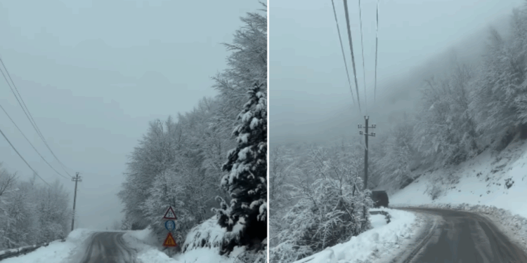 MOTI I KEQ/ Korça përfshihet nga reshjet e dëborë, ndërprerje energjie në disa fshatra