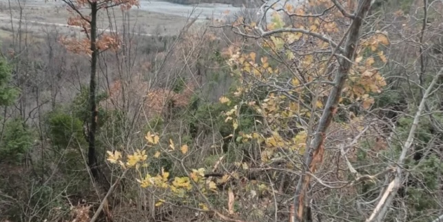 KAMIONI BIE NË HUMNERË NË GRAMSH/ Policia jep informacion zyrtar: Viktimë një 43-vjeçare! Dy të plagosur në spital