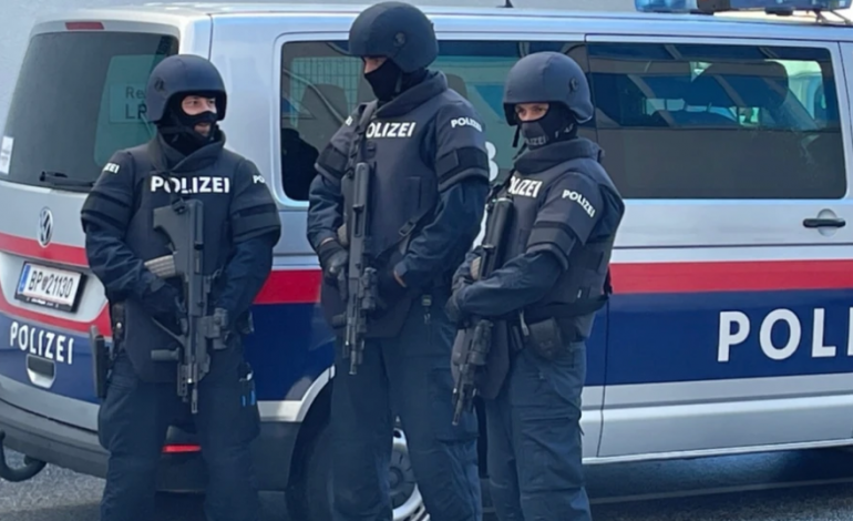 E RËNDË NË AUSTRI/ Nëna vret me thikë djalin e saj 12-vjeçar
