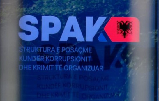 EMRAT/ Importuan dhjetëra kg kokainë përmes lëkurës së gjedhëve! SPAK dërgon për gjykim 10 persona për trafik ndërkombëtar droge