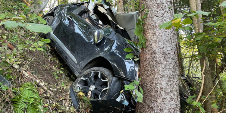 TRAGJIKE/ Shoferi i dehur në timon, makina del nga rruga dhe përplaset me pemën. Humb jetën pasagjeri
