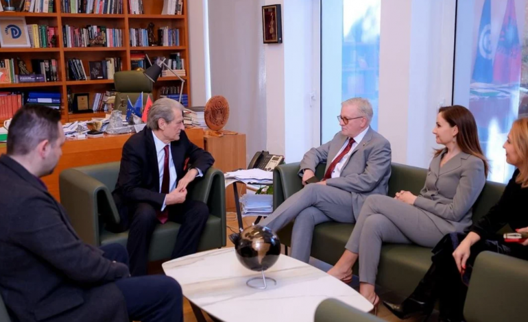 BERISHA TAKIM ME EURODEPUTETIN GAHLER/ Kreu i PD: Nisma e PS për heqjen e imunitetit dëmton procesin integrimit europian