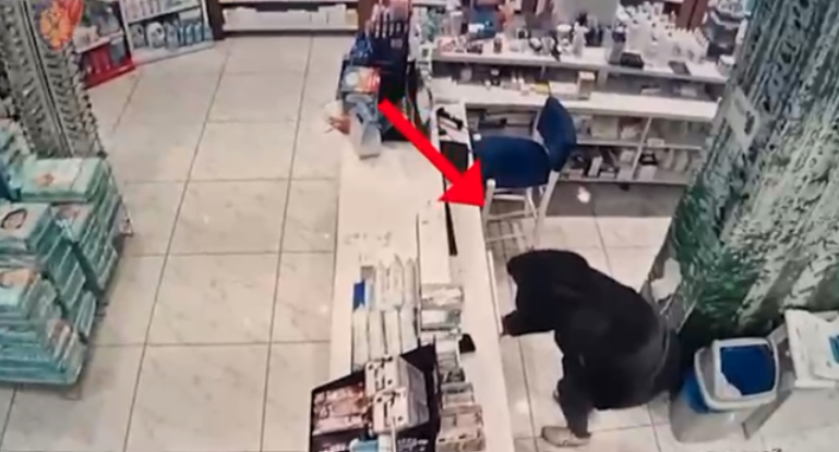 ME KAPUÇ DHE E DHUNSHME/ 26-vjeçarja “terrorizon” bizneset në Tiranë, vjedh… (PAMJET)